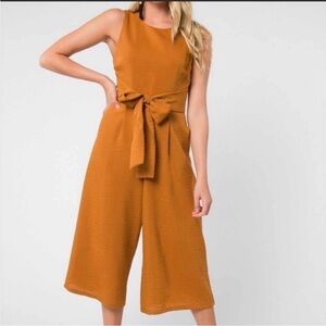 Anthropologie Everly Sleeveless Camel Cropped Wide Leg Jumpsuit w/ Back-Tie M